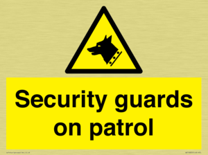 Security guards on patrol